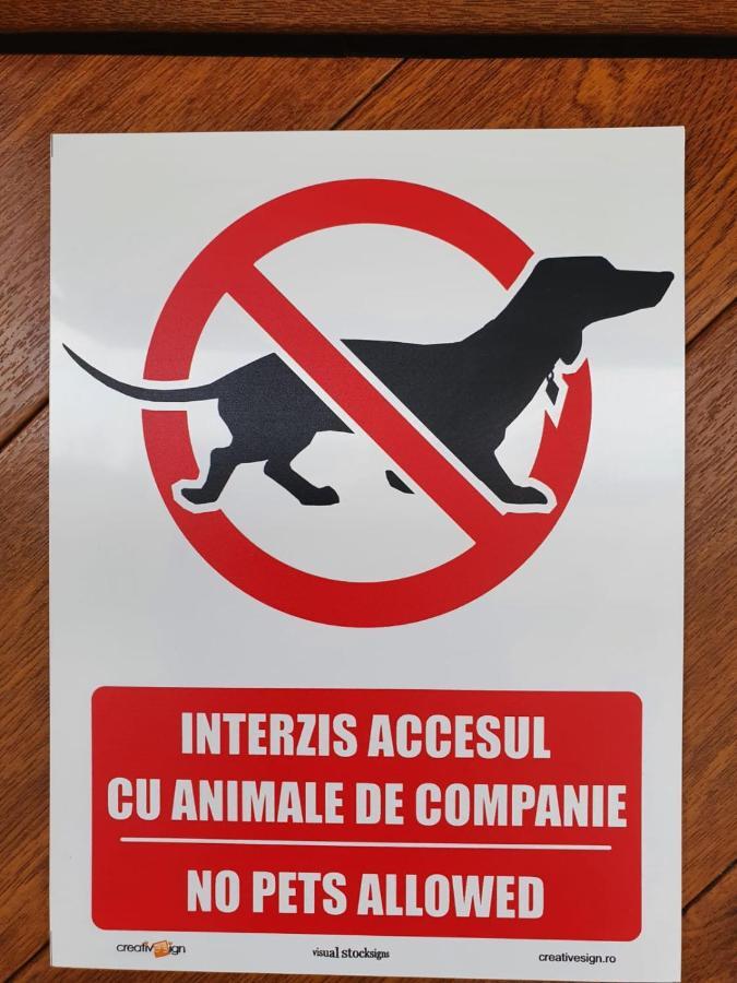 Hotel Casa Saga Gura Humorului Esterno foto